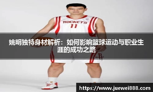 BB贝博登录入口