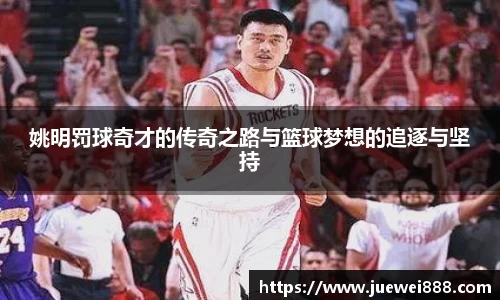 BB贝博登录入口